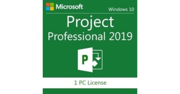 Microsoft Project Professional 2019